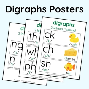 Digraphs Posters