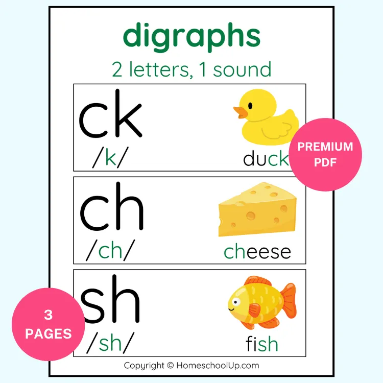 Digraphs Posters Sample