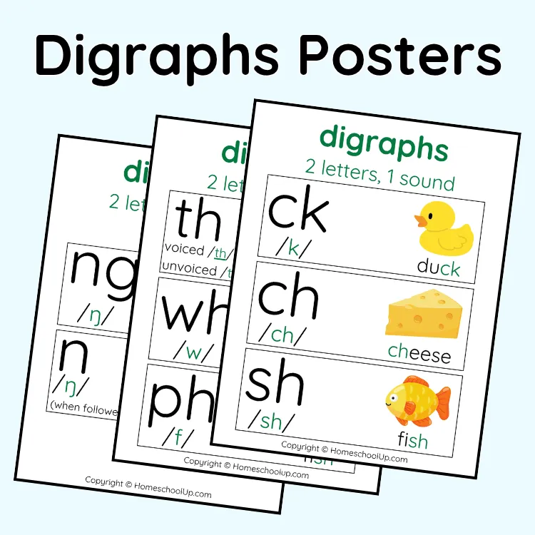 Digraphs Posters