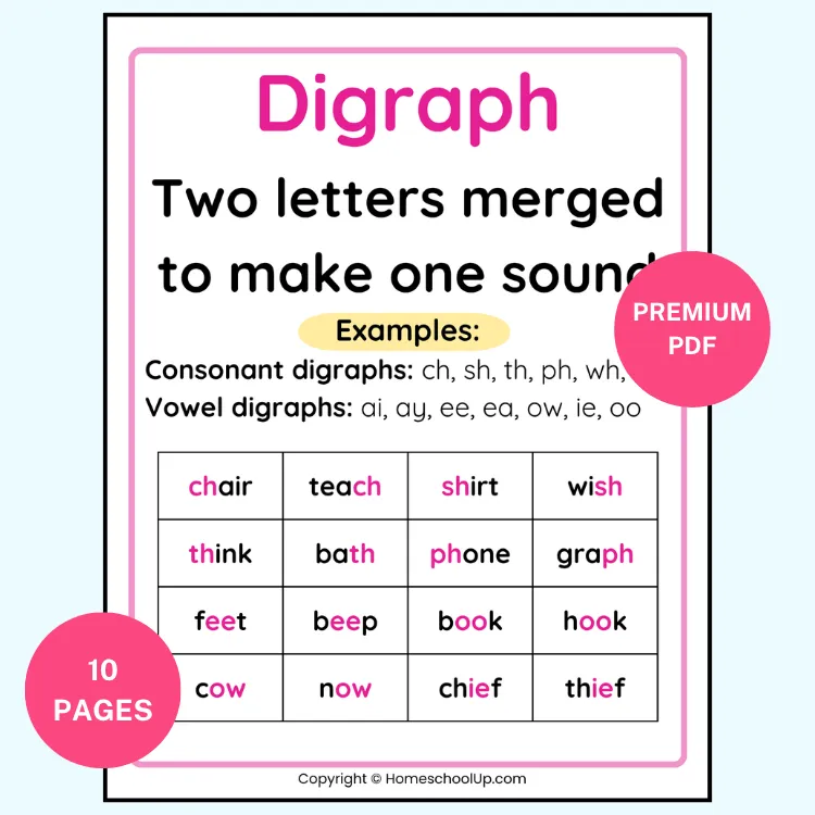 Phonics Concepts Anchor Chart Digraph